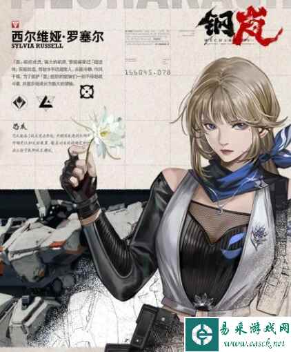 网3