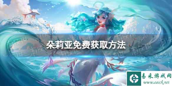 网1