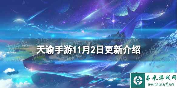 网1