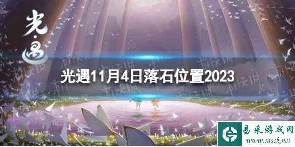 网1