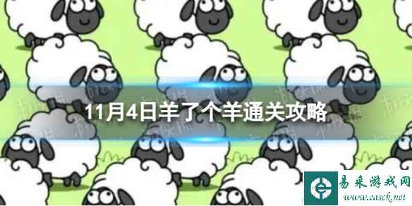 网1