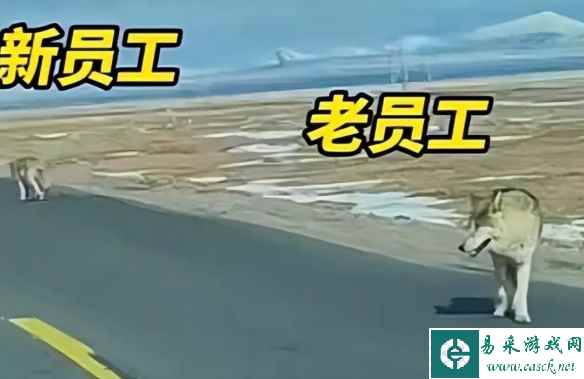 易采游戏网