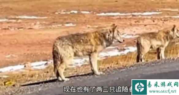 易采游戏网