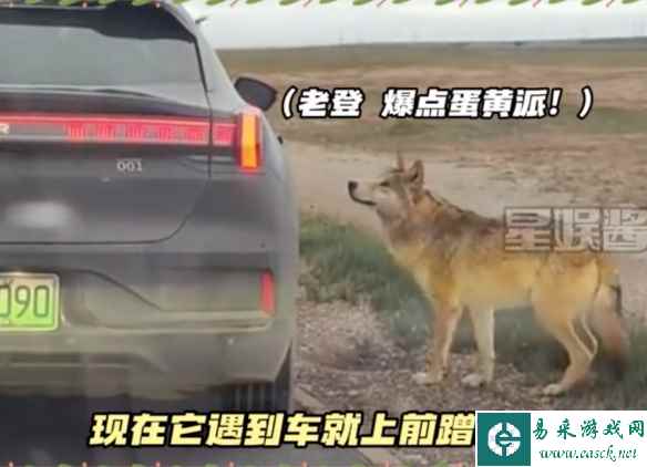 易采游戏网
