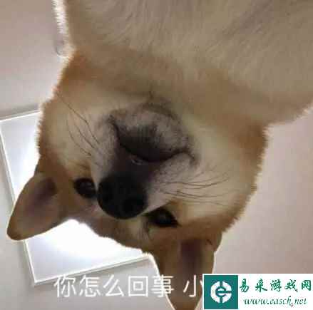 易采游戏网