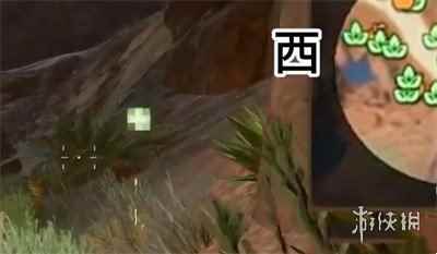 网3