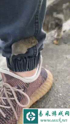 你知道方便面是怎么来的吗？动图 点个灶台给你闹麻了