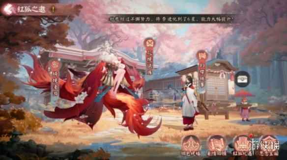 网2