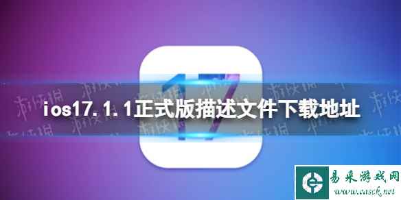 网1
