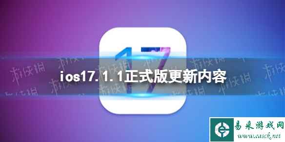 网1