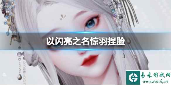 网1