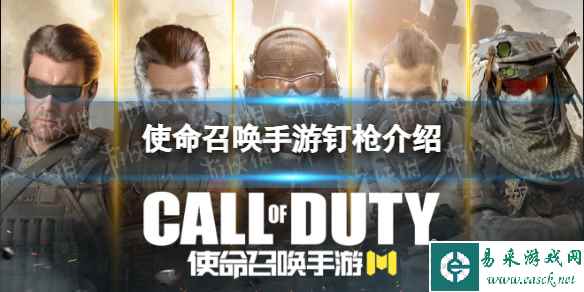 网1