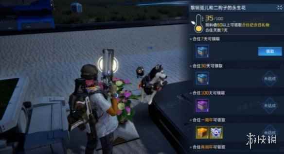 网5