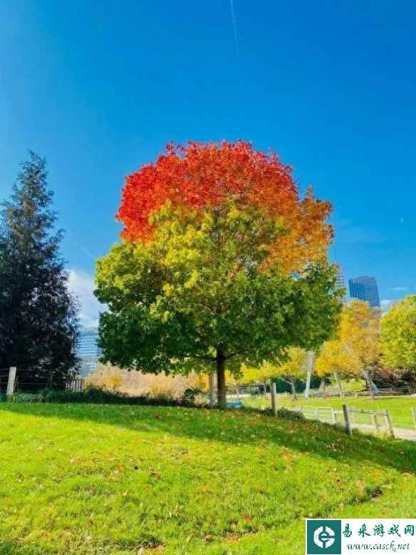 强迫症看了大呼爽歪歪！23张让人身心愉悦的完美照片