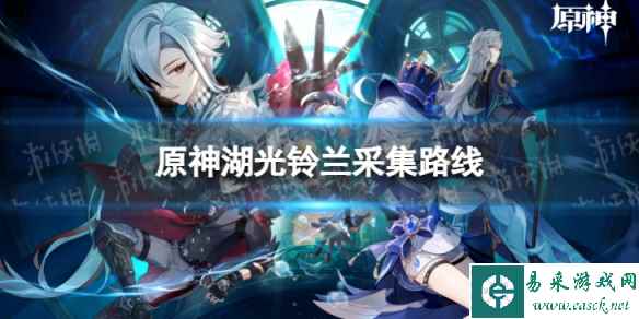 网1