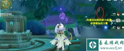《原神》伊黎耶的野精灵幽林雾道流程攻略一览