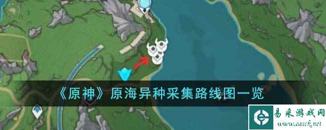《原神》原海异种采集路线图一览