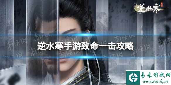 网1