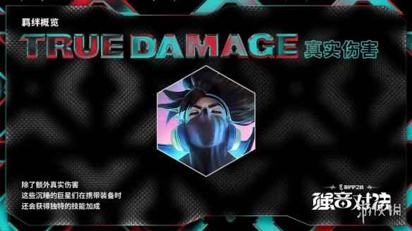 网5