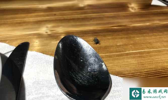 《动物餐厅》餐具获取攻略（如何获得餐厅专属餐具？游戏中的小技巧帮你轻松get！）