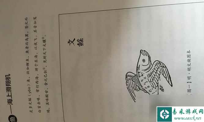 游戏中如何钓到动物餐厅的鳐鱼？（掌握鳐鱼钓法和技巧，成功捕获美味佳肴！）