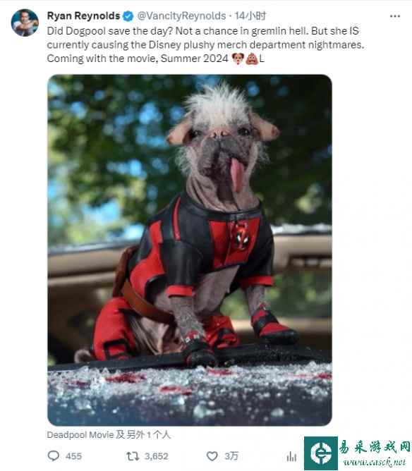 “小贱贱”官宣新演员！“死侍狗”加入《死侍3》