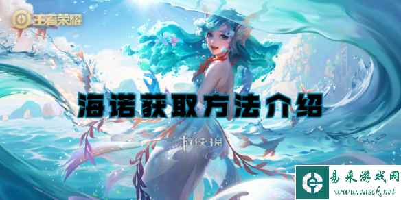 网1