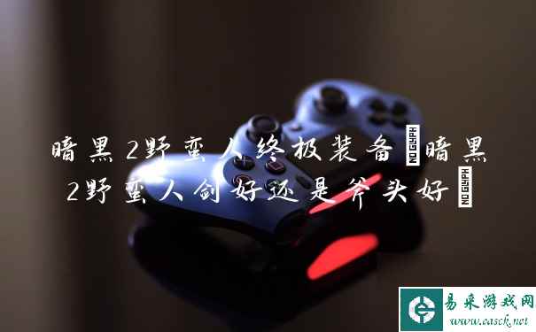 暗黑2野蛮人终极装备(暗黑2野蛮人剑好还是斧头好)