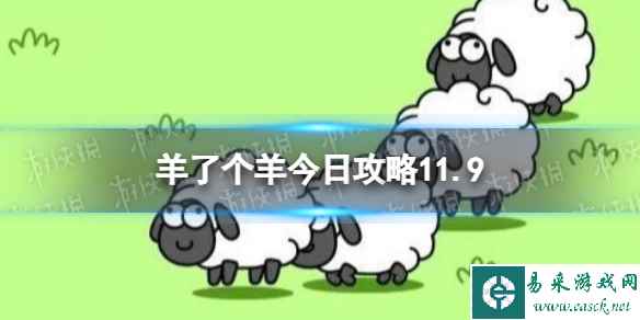 网1