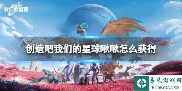 网1
