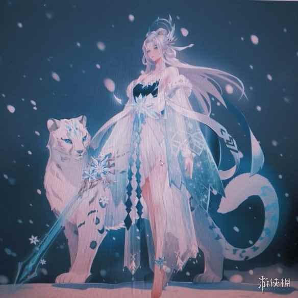 网2