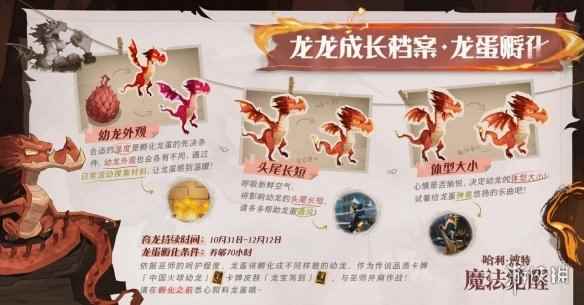网6