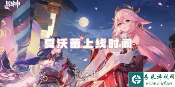 网1