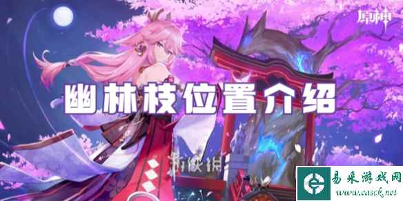 网1