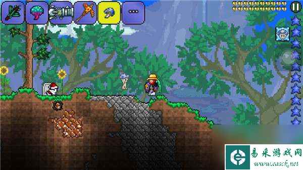 单机版泰拉瑞亚攻略,泰拉瑞亚:勇闯地下城,解锁新世界