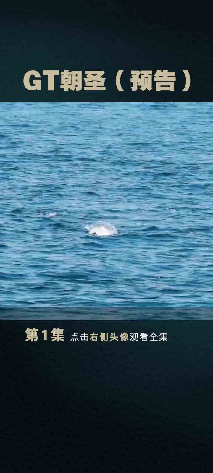 GT朝圣：完美诠释钓鱼人精神！#钓鱼 #路亚 #海钓 #dou是钓鱼人 #我要上头条 #痴虫杨杨 