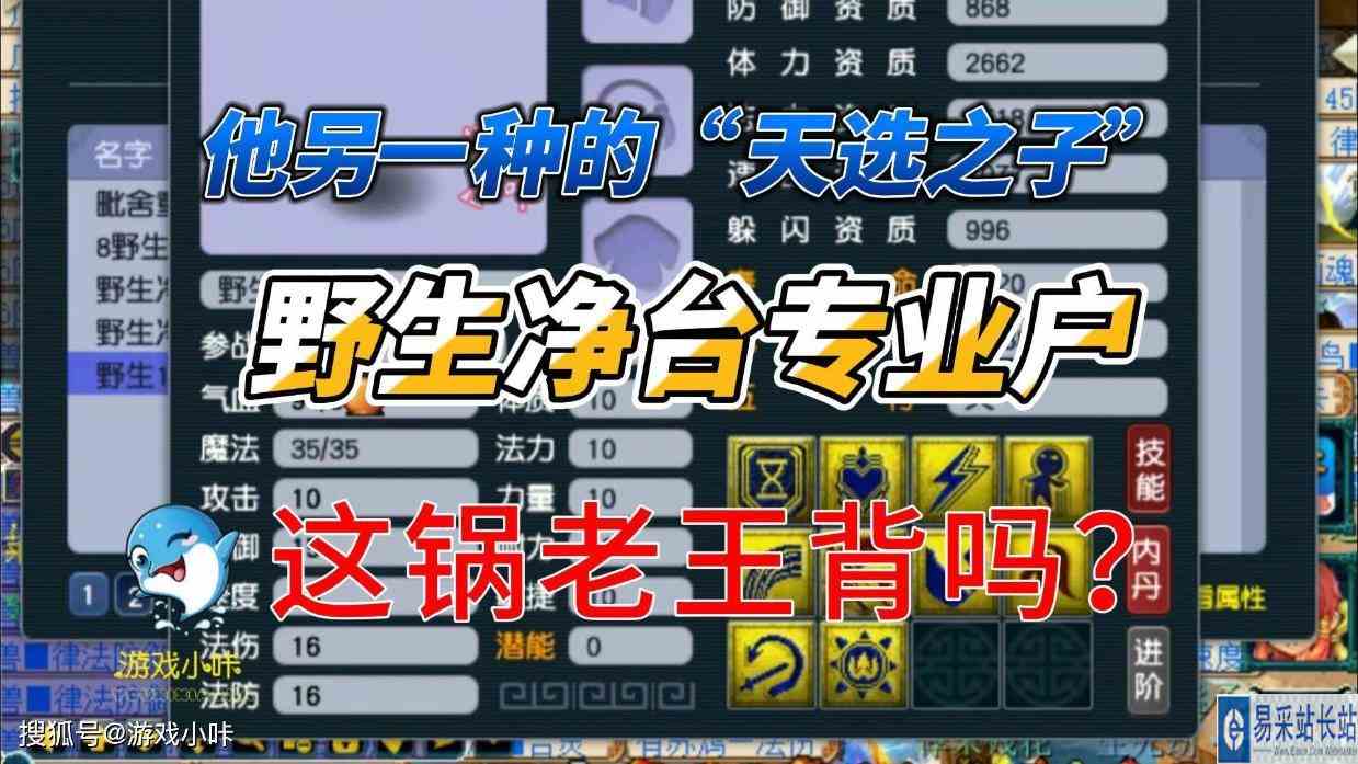 梦幻西游：另一种的“天选之子”，野生净台专业户，老王背锅？