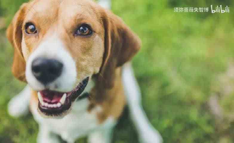 互粉互赞互关互币请评论区留下评论·