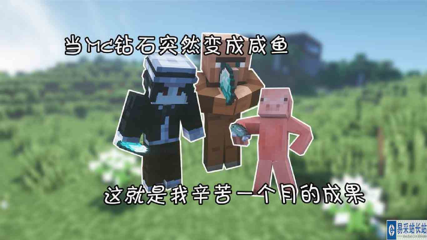 当mc钻石突然变成咸鱼 这就是我辛苦一个月的成果