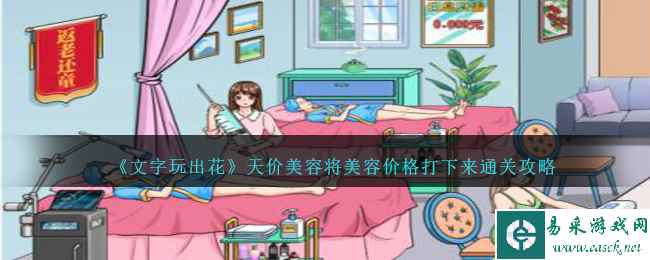 《文字玩出花》天价美容将美容价格打下来通关攻略