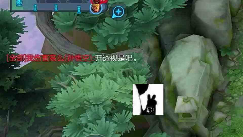 小卤蛋被猴哥说开挂了！