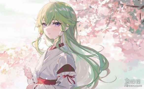 网6