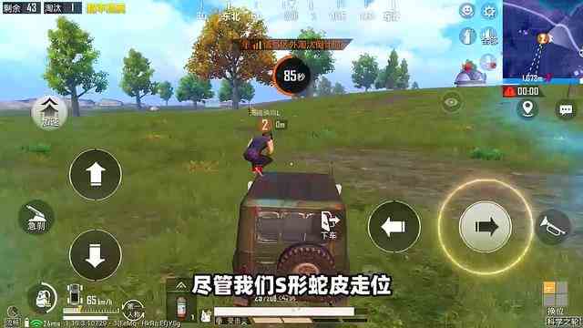 和平精英：使用弹射炮，可以背着队友游泳吗？两分钟揭晓！