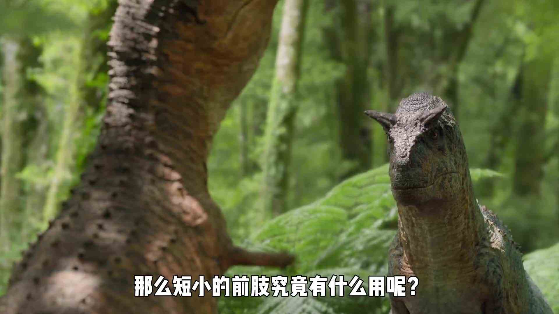 霸王龙前面两只小手是干嘛用的？看到最后我才恍然大悟