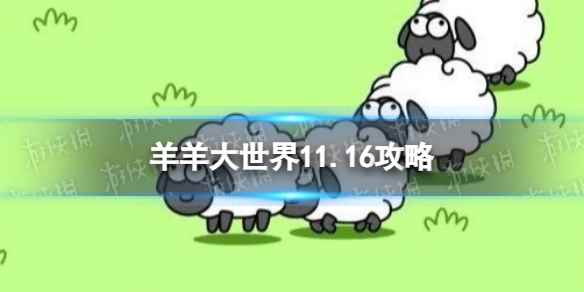 网1