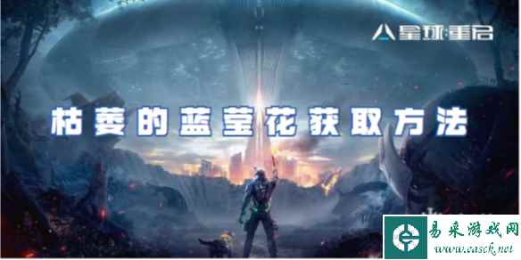 星球重启枯萎的蓝莹花获取方法