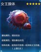 网13