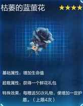 网17