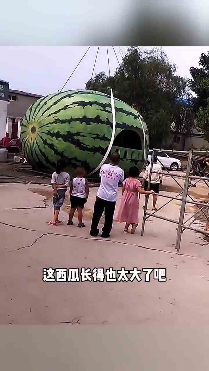 大货车神操作麦子全变成了面面ok