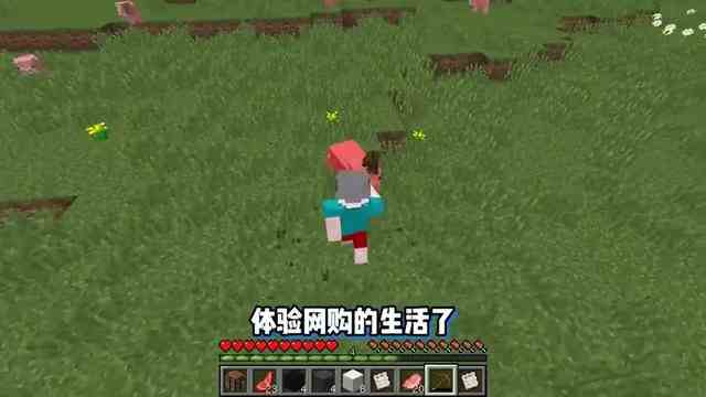 我的世界：网购生存，每升五级网购一次！该如何通关MC？